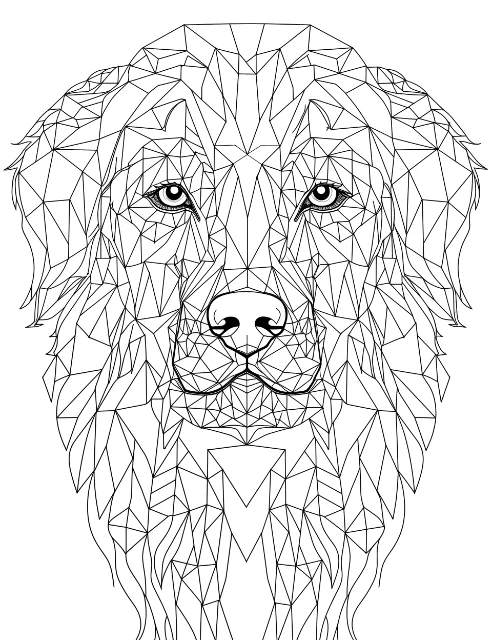 Example page of 1 VIVID VISIONS, Dogs in Meshdesign